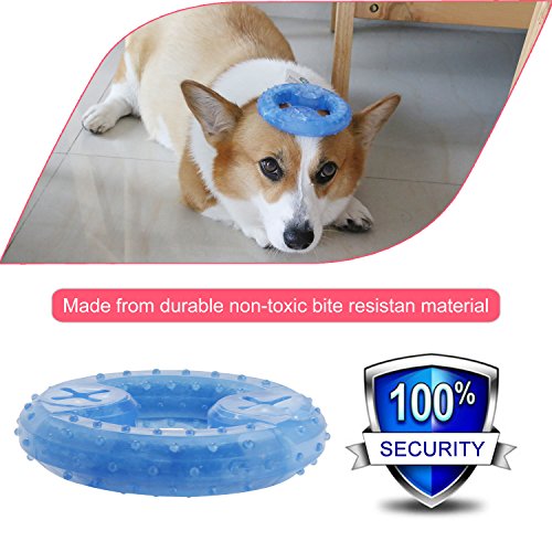 ZNOKA Pet Products Arctic Freeze Fetch Food Cooling Teether Chew Toy (Ring)