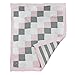 Burt's Bees Baby - Honeybee Mini Check Reversible Quilt, 100% Organic and 100% Polyester Fill (Blossom)