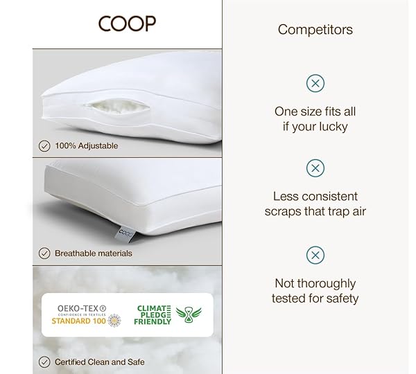 COOP HOME GOODS ESSENCE DOWN ALTERNATIVE PILLOW SET OF 2, QUEEN SIZE, BEST PILLOWS FOR SLEEPING, ADJUSTABLE ALTERNATIVE TO DOWN PILLOWS, LUXURY HOTEL PILLOW FOR BACK, STOMACH OR SIDE SLEEPERS