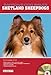 Shetland Sheepdogs (Barron's Dog Bibles)