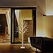 EAMBRITE 6FT 88LT Warm White LED Winter Artificial Birch Wedding Christmas Home Decorative Tree Light for Indoor and Outdoor Use