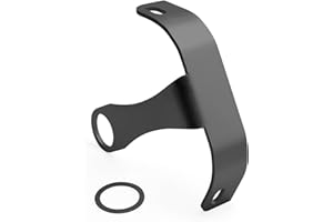 DAKLVNG Rear License Plate Tag Mount Bracket Side Support Holder for Harley Sportster Iron 883 1200 Nightster Roadster Dyna Softail V Rod Universal (Curved, Black)