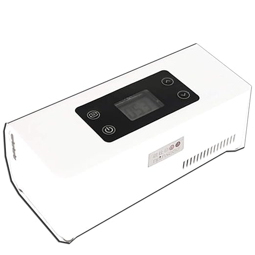 YZJJ Nevera portátil Caja de refrigerador, Caja Inteligente para ...