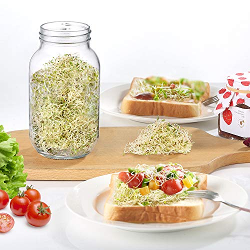 ecooe Sprossen SJFC01-N Germination Glass Set of 1 Germination Glasses for Sprouting Jar with 1 Water Bowl 1 Filter Mesh Cover Made of 304 Stainless Steel and 1 Stand