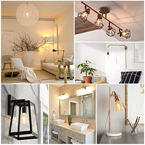 Vintage LED Edison Bulbs 6W, 60W Equivalent, Non-Dimmable 2700K Warm White, High Brightness E26 LED Light Bulb, ST64 LED Filament Light Bulb (10 Pack)