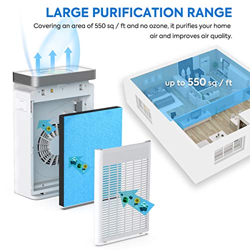 COLZER Air Purifier with True HEPA Air Filter, Air Purifier for Bedroom, for Spaces Up to 550 Sq Ft, Perfect for Home/Office with Composite Filter