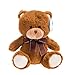 WILDREAM Plush Teddy Bear Stuffed Animals with Ribbon Bow, Shaggy Stuffed First Teddy Bear Plush for Boys/Girls/Boyfriends/Girlfriends, Soft Gifts for Birthday, 8 Inches (Brown)