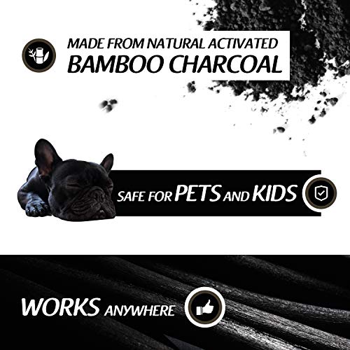 2 Charcoal+Purifying+Activated+Home+Deodorizer