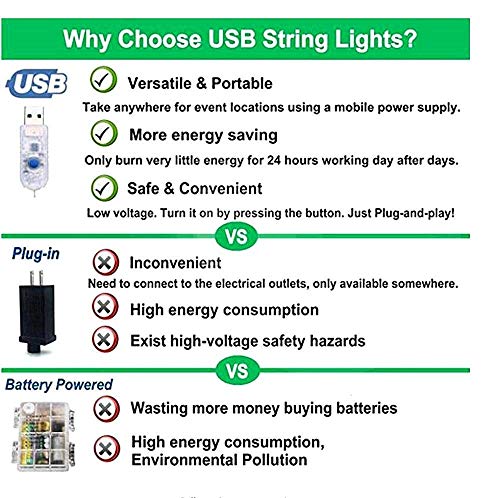 LiyuanQ 40 LED Photo Clip String Lights with Remote, 8 Modes Indoor Fairy String Lights for Hanging Photos Pictures Cards and Memos, Ideal Gift for Bedroom Decoration (USB Operated, Warm White)