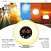 [2017 Upgraded Version]Wake Up Light Alarm Clock Sunrise Simulation Digital Clock , 6 Natural Sounds, FM Radio, Snooze/Sunset Function, Touch Control 7 Colors LED Night Light With USB Charger