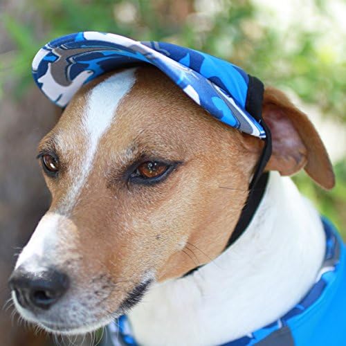 sun visors for dogs