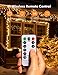 TaoTronics LED String Lights,Christmas Decorations Lights 33ft 100 LEDs USB Powered Warm White Dimmable Copper Wire String Lights,8 Lighting Modes,15 brightness levels, Remote Control, IP65 Bendable