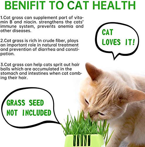 KORAM Seed Tray Kit, Seed Planting Tray for Cat Grass, Tray for Seedling Organic Pet Cat Grass Growing with Non-Slip Stickers, Natural Hairball Control Healthy Treat for Cats (Seed Not Included)