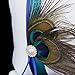Peacock Feather Decor Wedding Guest Book+Pen+Ring Pillow+Flower Basket+Garter Set---White