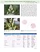 Middleton's Allergy 2-Volume Set