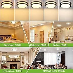 hykolity 10 inch Flush Mount LED Ceiling Light