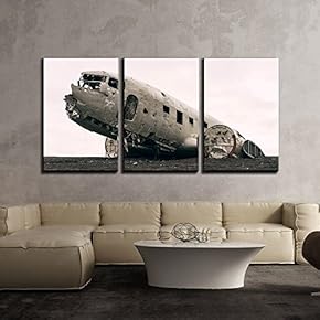 3 Piece Canvas Wall Art - Aircraft Wreckage in Field - Modern Home Art Stretched and Framed Ready to Hang - 16"x24"x3 Panels