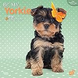 Be My Yorkie By Myrna 2016 Wall Calendar