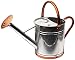 Gardman 8330 Galvanized Watering Can with Copper Accents,  1.9 Gallon