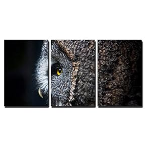 3 Piece Canvas Wall Art - Beauty Owl - Modern Home Art Stretched and Framed Ready to Hang - 16"x24"x3 Panels
