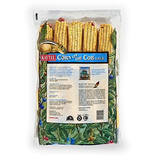 Kaytee Corn On The Cob Food For Wild Squirrels, Rabbits, Chipmunks and