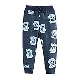 HUAER& Baby Boy's Jogger Pants Dinosaur Car Animal Print Drawstring Elastic Sweatpants (1-Pack 2-Pack)