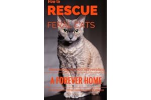 How To Rescue Feral Cats: Discovering the Joy of Providing a Forever Home to Homeless Feral Cats in Need of Rescue (Feral and Abandoned Cat Rescue and Care)