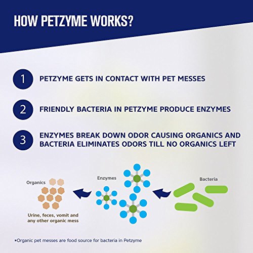 Petzyme Pet Stain Remover & Odor Eliminator, Enzyme Cleaner for Dogs