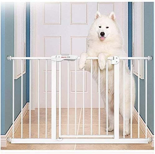 science diet veterinary