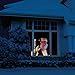 The ORIGINAL Virtual Santa in the Window Movie on USB. Includes Kringle Bros High Resolution Rear Projection Screen