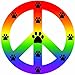 Imagine This Peace Car Magnet Sign, Rainbow, 41/2-Inch by 4-1/2-Inch