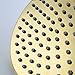 KES All Stainless Steel 8-Inch Extra Big Rainfall Shower Head Replacement Part for Bathroom Shower System Overhead Showerhead Contemporary Style Titanium Gold, J203-4