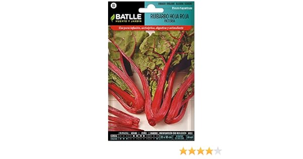 Semillas de Flores - Ruibardo hoja roja Victora - Batlle: Amazon ...