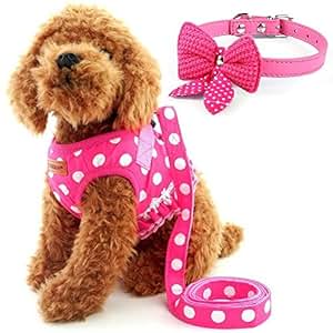 Cute Small Dog Harness, Ladies Polka Dots Dog Vest Harness ...