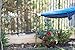 Hammock Tree Straps 2pc - 3/4