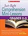 Just-Right Comprehension Mini-Lessons: Grades 2–3