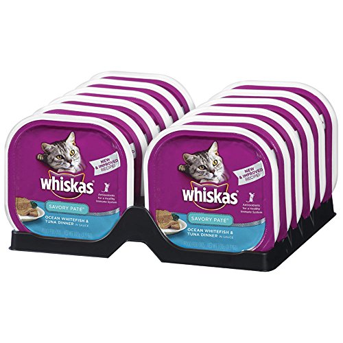 Whiskas Savory Pate Wet Cat Food Trays Buy Online in UAE. Pet
