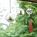 SWISSELITE Glass Hanging Planters Hanging Glass Terrariums, Plant Terrariums Set (3 Pack Ball)