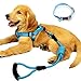 YUSENPET Dog Leash Harness Set with Collar & Heavy Duty Denim Dog Leash Collar for Small, Medium and Large Dog, Perfect for Dog Daily Training Walking Running