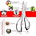Kitchen Shears Poultry Scissors Set, BEST Cutting Aid with Stainless Steel Heavy Duty Blades and Large Handles FREE Basting Brush Included for Glazing and Food Marinade by Space Evolution