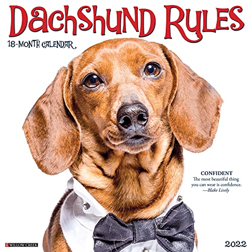 Dachshund Rules 2022 Wall Calendar (Dog Breed) in Kuwait Whizz Breeds