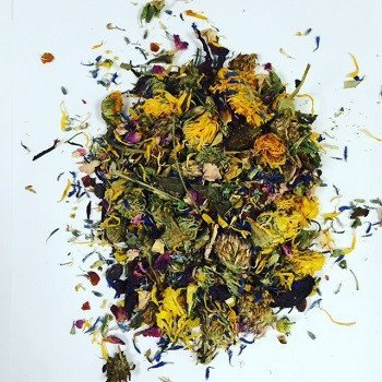 Small Pet Select - Flower Power Berry Boost Herbal Blend