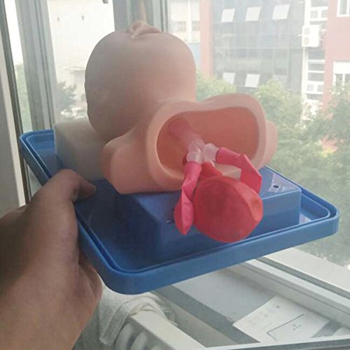 Enshey Tracheal Intubation Training Simulator Model Advanced Infant Tracheal Intubation Teach Training Nurse Lab Airway Management Trainer Intubation Manikin