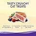 Wellness Kittles Natural Grain Free Cat Treats, Tuna & Cranberries, 6-Ounce Bag