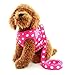 SELMAI Puppy Small Dog/Cat Dots Vest Harness Leash Set Mesh Padded No Pull Lead
