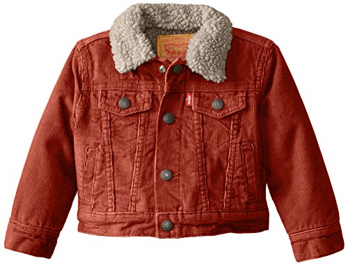 levi's baby trucker jacket