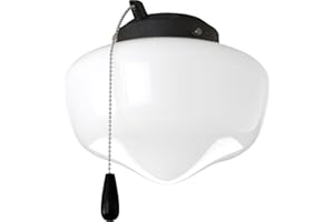 Progress Lighting P2601-80 1-Light Kit with White Glass for Indoor/Outdoor Use, Forged Black