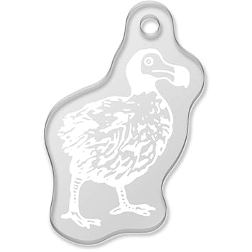 Azeeda Loiseau Dodo Porte Clés Ak00052670 Amazonfr