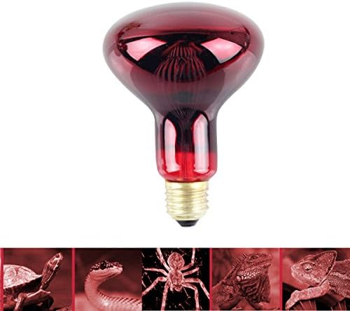 QSLQYB Heat Lamp Heating Infrared Bulb, 100 W Red Pet Light Health Lamp Heating Lamp for Lizard Tortoise Spider Snake Chameleon - E 27 (Working Hours:1500 h. Damaged Can Be Replaced Without Charge)