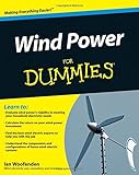 Wind Power For Dummies